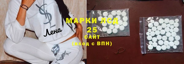 индика Нея
