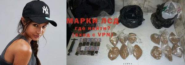 индика Нея