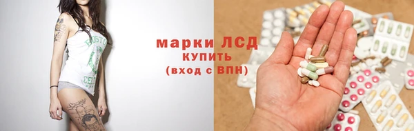 индика Нея