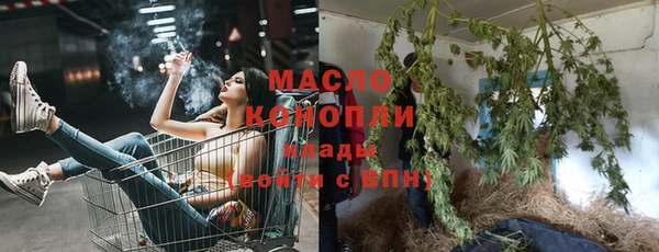 индика Нея