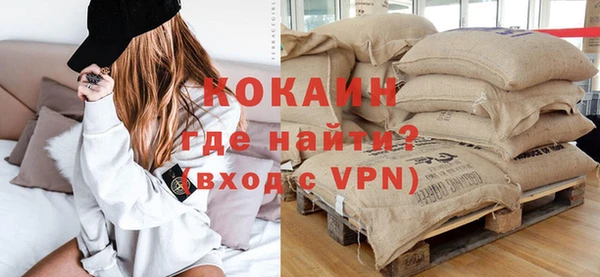 индика Нея