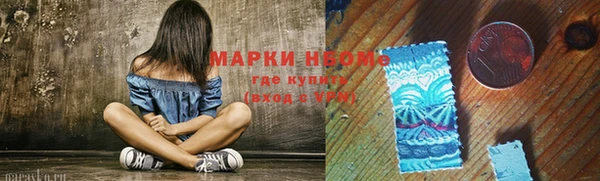 индика Нея
