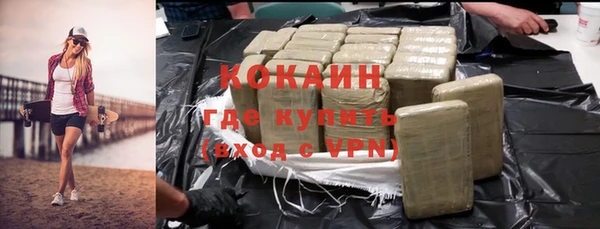 индика Нея