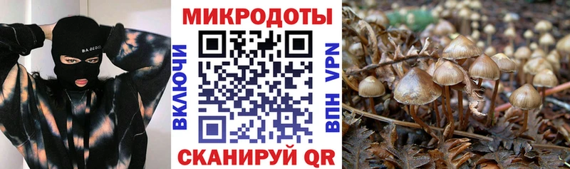 закладки  Невинномысск  Псилоцибиновые грибы MAGIC MUSHROOMS 